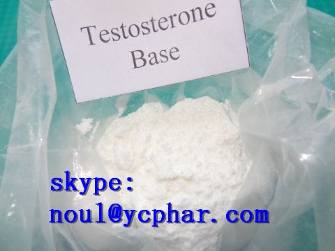 Testosterone Base